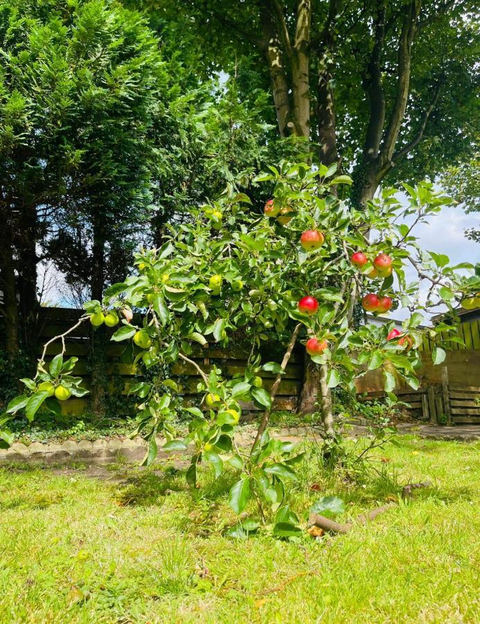 Carlibar Villa Barrhead Zewnętrze zdjęcie